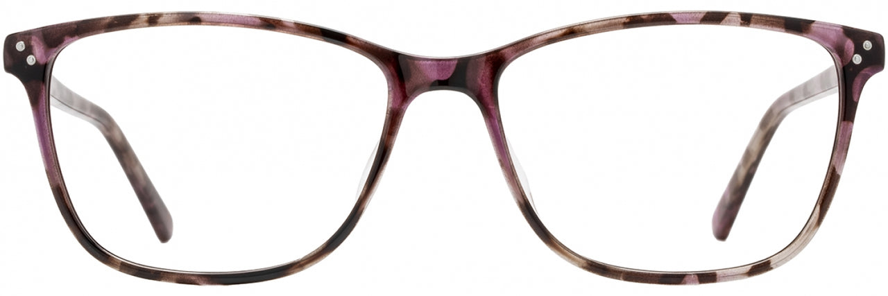 2 - Purple Tortoise