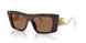 502/73 - Tortoise - Dark Brown