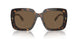 172873 - Tortoise - Dark Brown