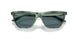 509987 - Green - Dark Grey