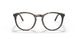 5057/3 - Havana - Clear