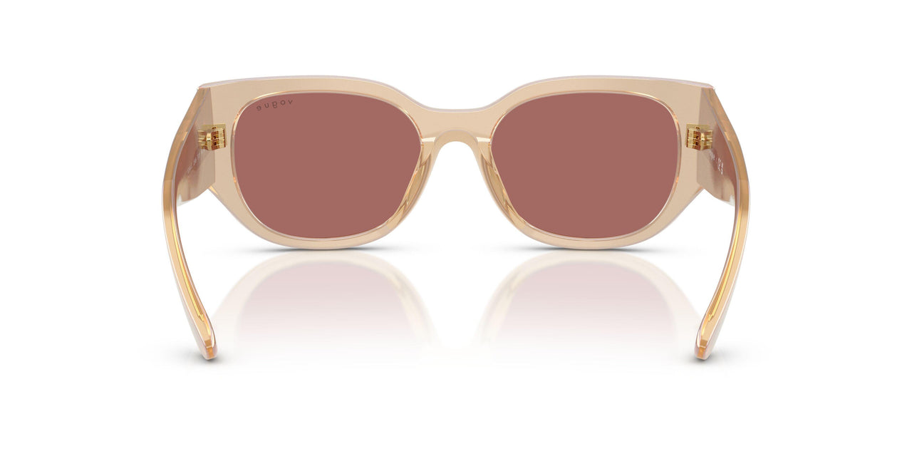 323469 - Brown - Dark Violet