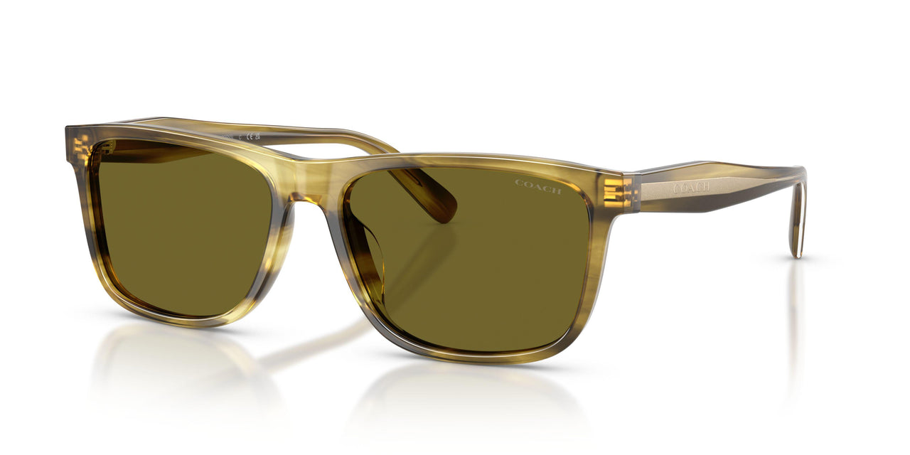 Coach Cdp55 8454U Sunglasses