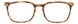 MTR - Matte Tortoise