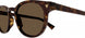 002 - Havana - Brown