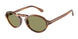 Giorgio Armani 8219U Sunglasses
