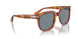 96/56 - Brown - Light Blue