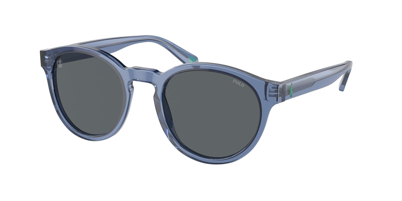 Polo 4192 Sunglasses