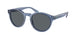 Polo 4192 Sunglasses