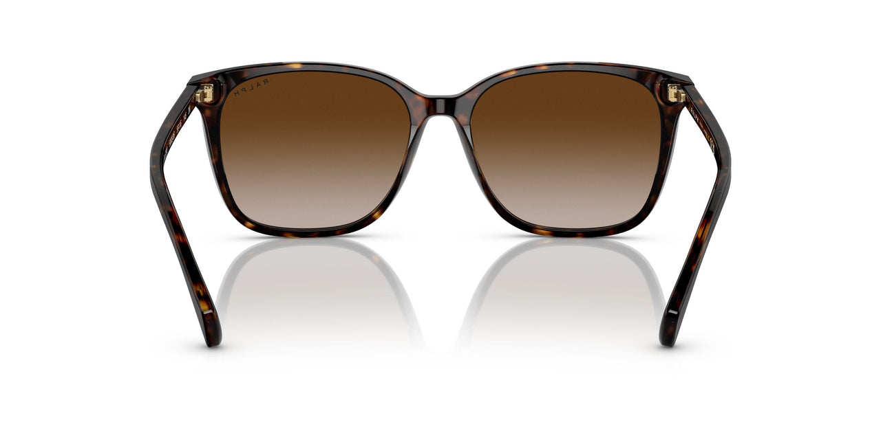 50033B - Havana - Gradient Brown