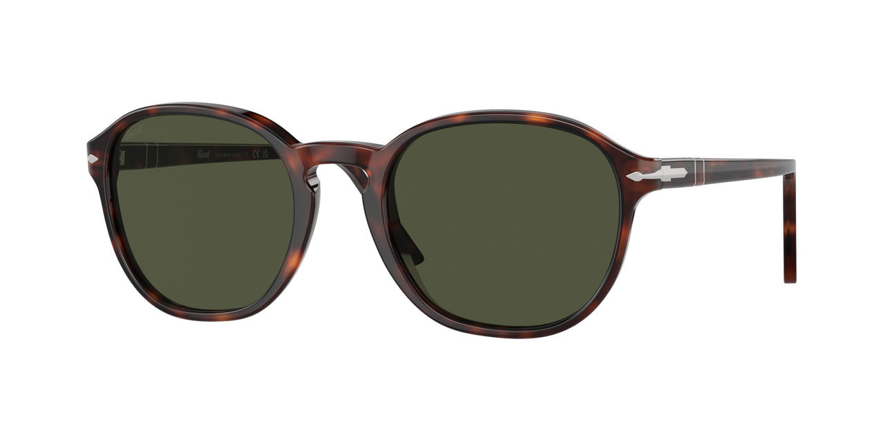 24/31 - Tortoise - Green