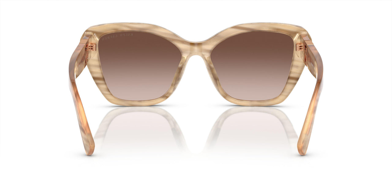 610613 - Brown - Gradient Brown