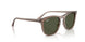 845731 - Brown - Green