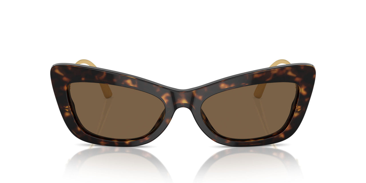 502/73 - Tortoise - Dark Brown