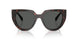 17N40L - Tortoise - Dark Grey
