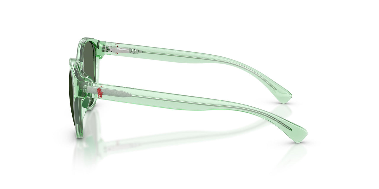625071 - Green - Dark Green