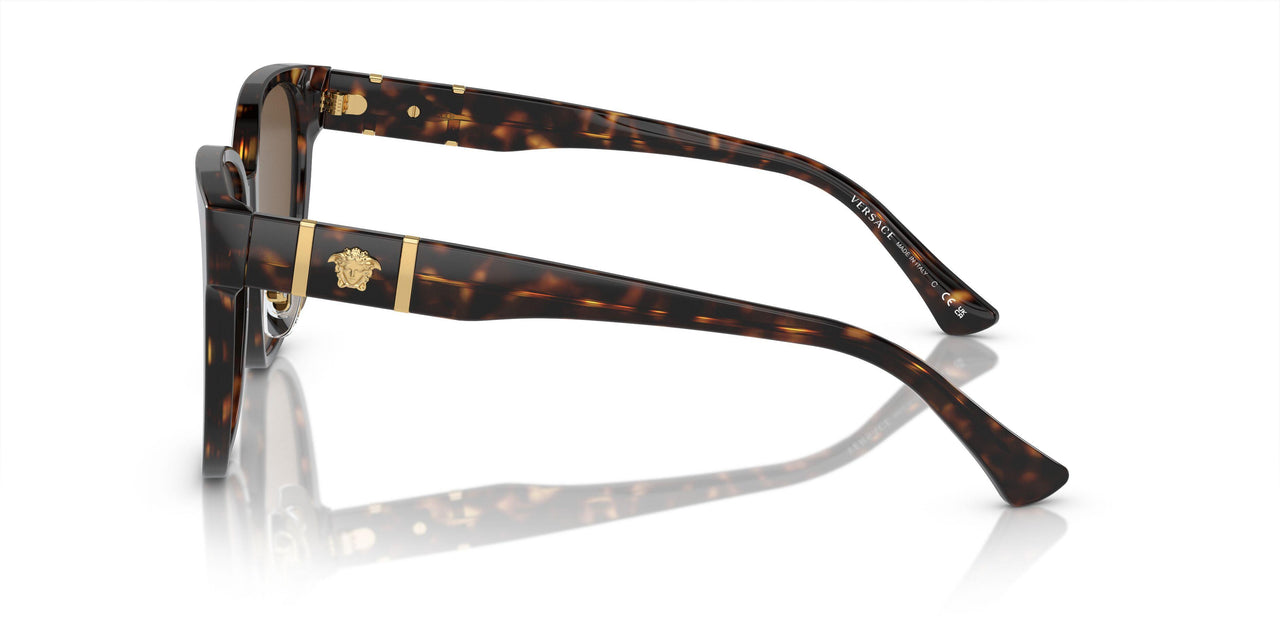 108/73 - Tortoise - Dark Brown