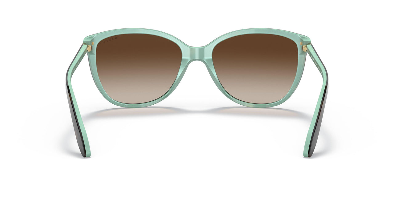 601/13 - Brown - Gradient Brown