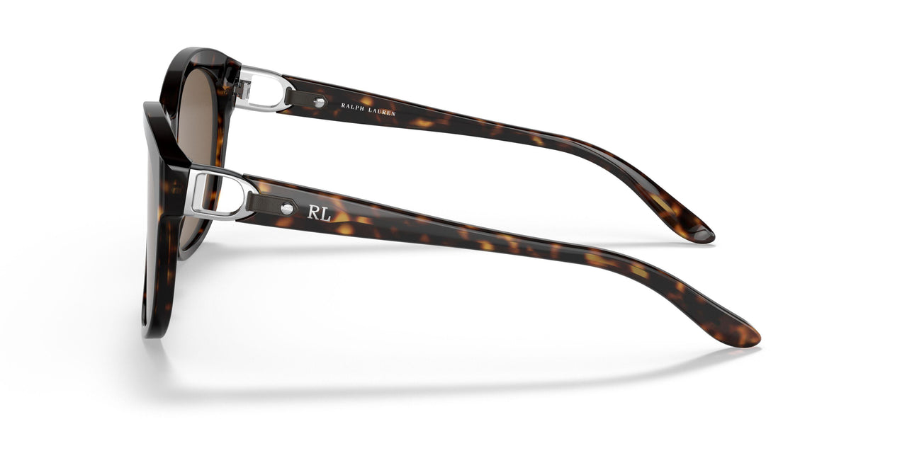 500373 - Havana - Brown