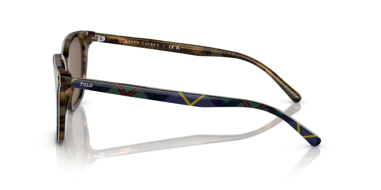 562573 - Multi - Brown