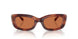 577473 - Tortoise - Brown Solid