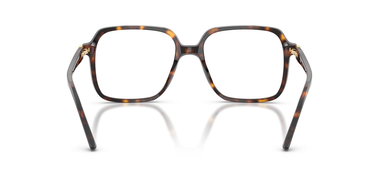 C653 - Tortoise