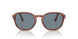 96/56 - Brown - Light Blue