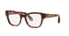 Roberto Cavalli VRC025M Eyeglasses