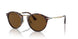 24/57 - Havana - Polar Brown