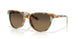 Costa Del Mar Catherine 2012 Sunglasses