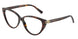 8015 - Tortoise