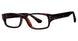 PLASTICS I SCORE Eyeglasses