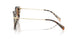 395173 - Tortoise - Brown Solid