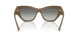 317511 - Brown - Gradient Dark Grey
