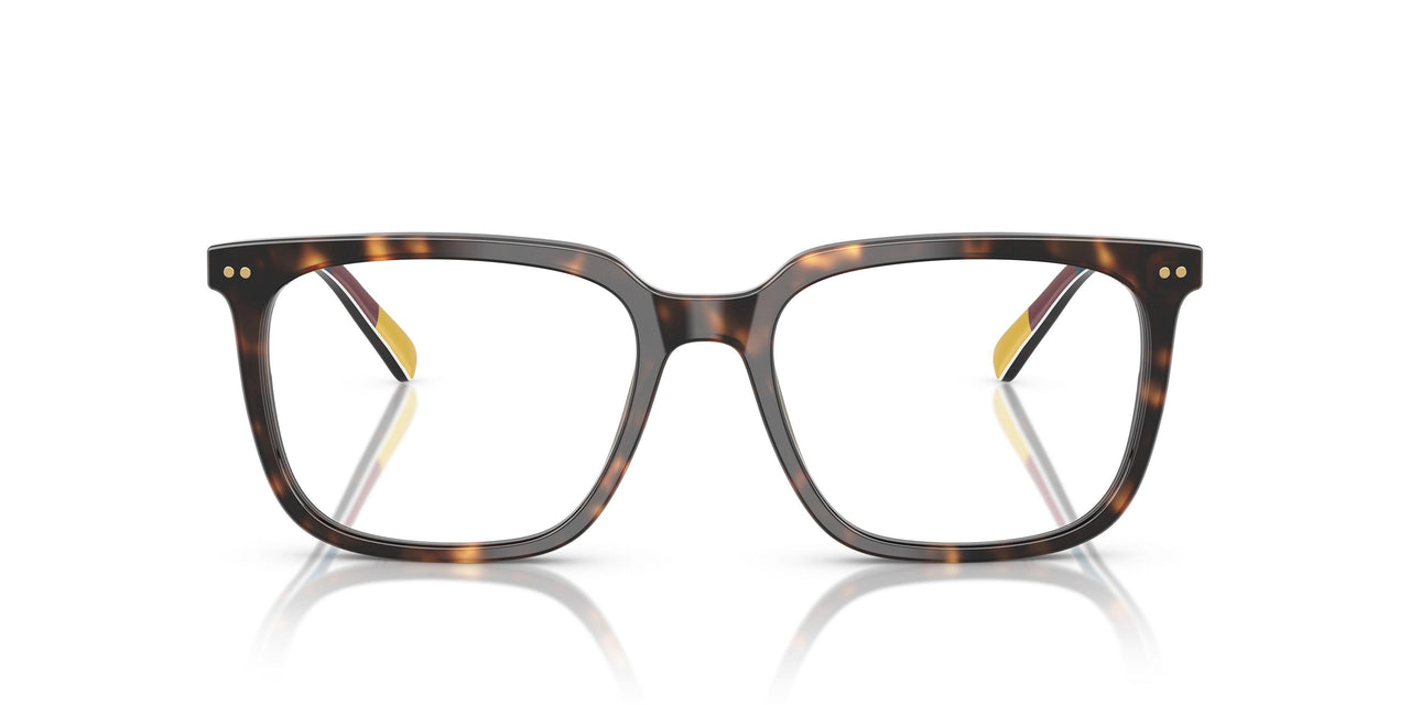 6212 - Tortoise