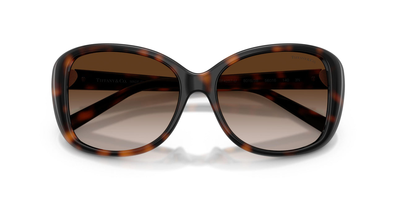 80153B - Tortoise - Brown Gradient