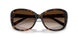 80153B - Tortoise - Brown Gradient