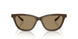 595753 - Brown - Brown