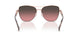 110811 - Pink - Brown Rose Gradient