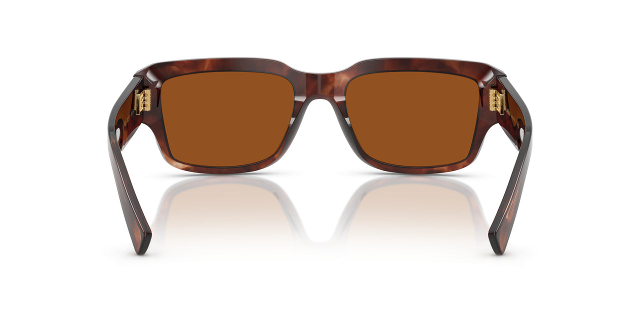 322273 - Red - Dark Brown