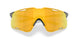 953803 - Grey - Prizm 24k