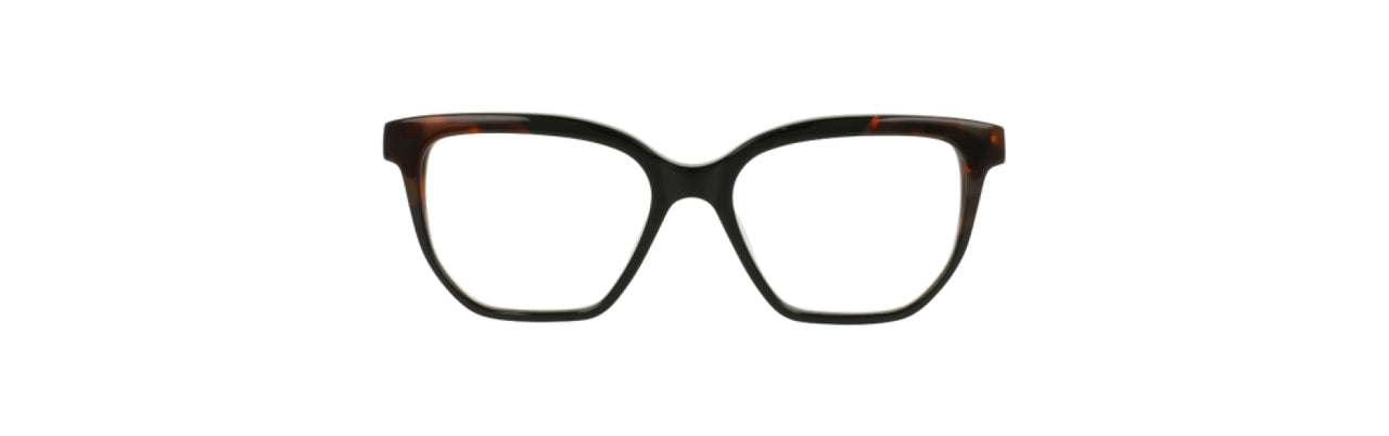 BTO - Black/Tortoise [BTO]