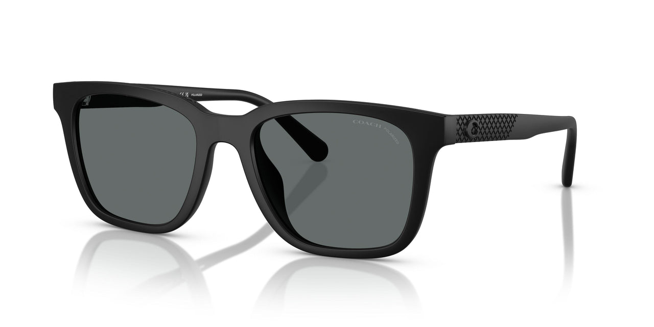 500281 - Black - Grey Solid Polar