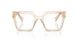 11T1O1 - Brown