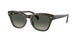 664271 - Green - Grey Gradient