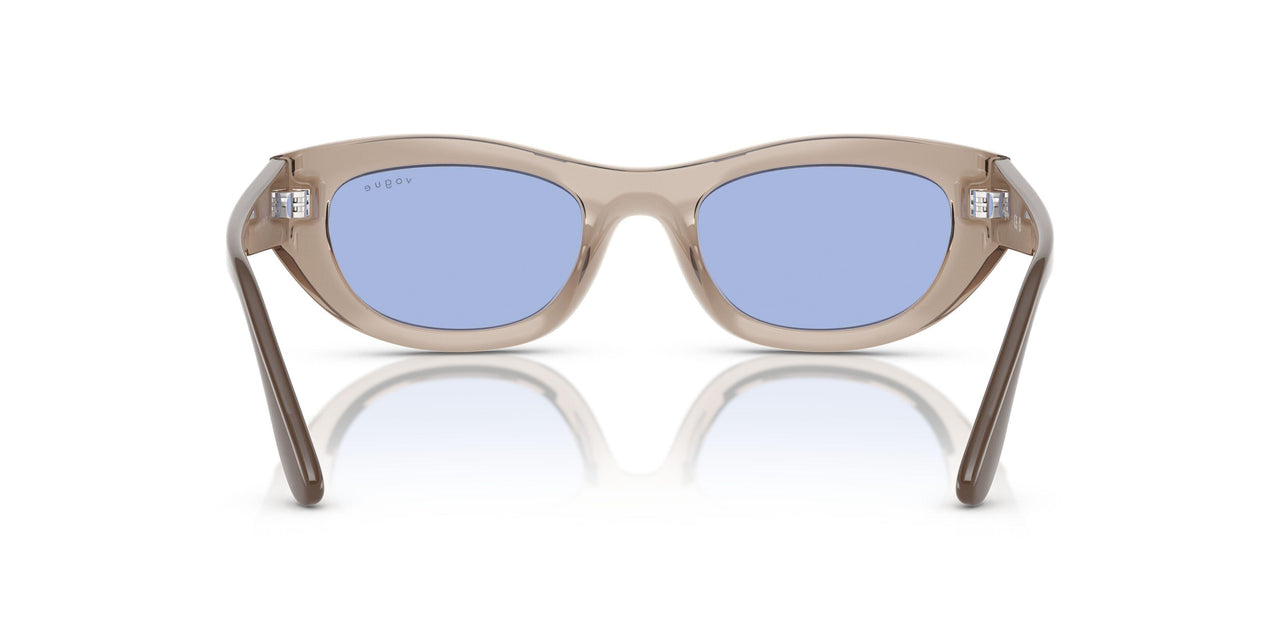 318172 - Brown - Blue