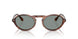616256 - Tortoise - Blue