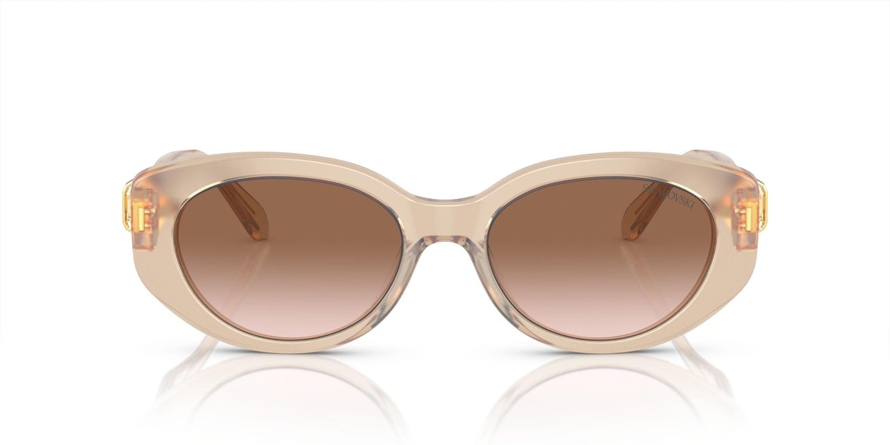 103413 - Brown - Gradient Brown