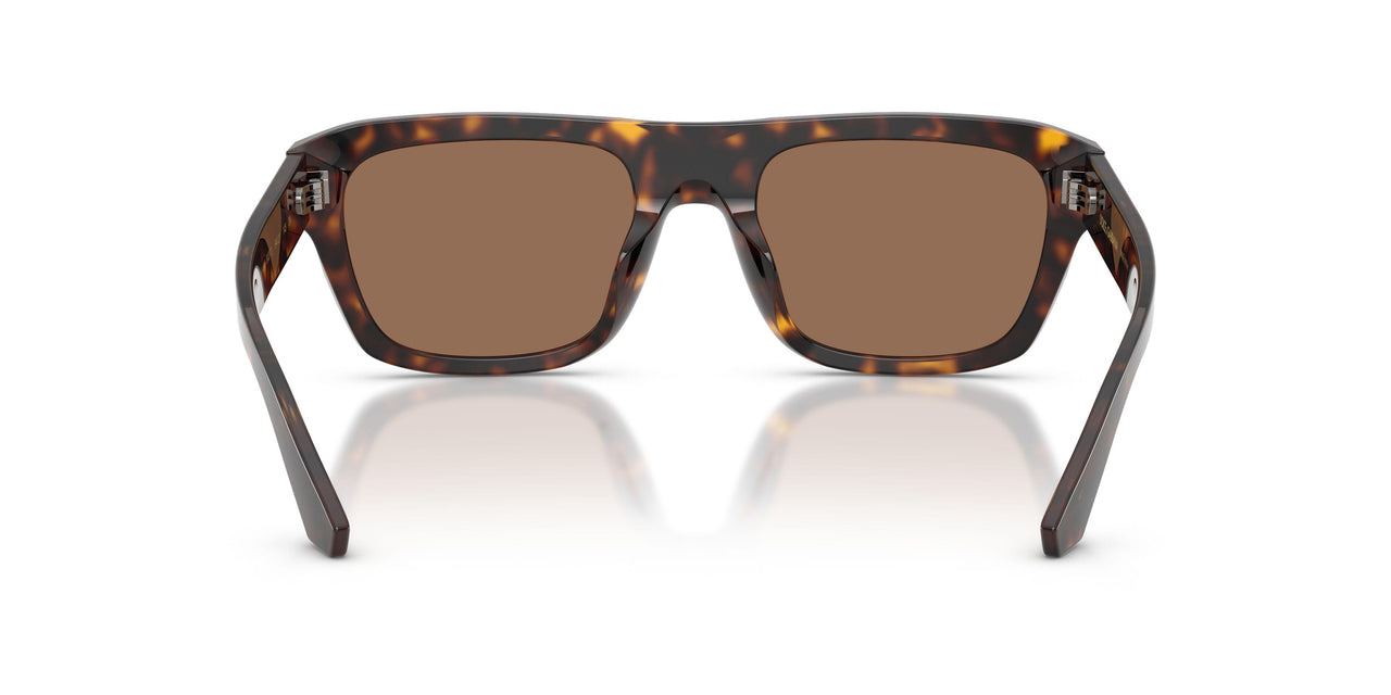 502/73 - Tortoise - Dark Brown