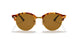 1160 - Spotted Brown Havana - Brown